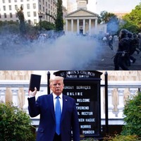 Trump reacts to protestors